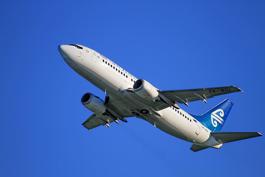 white, blue, airplane, flying, sky, aircraft take-off, air new zealand, boeing 737-319, passenger aircraft, blu