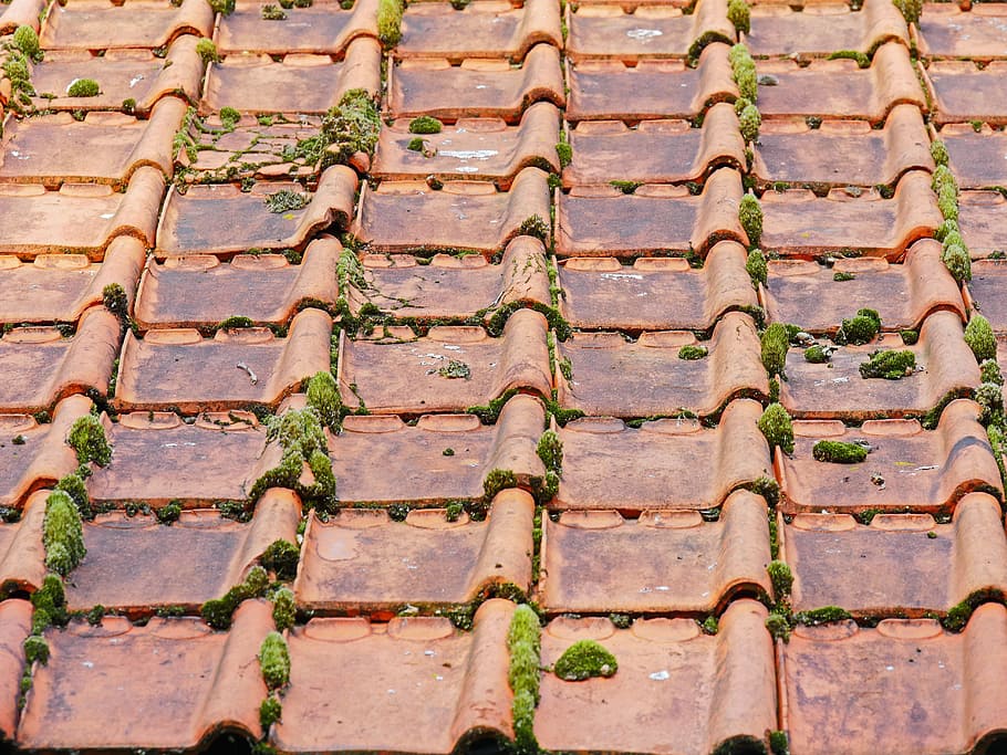 old roof, roofing tiles, barn, moss, roof, brick, fouling, bemoost old, roofing, tile