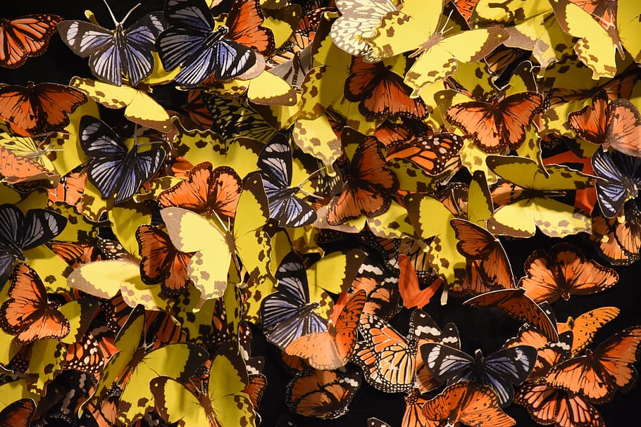 Butterfly, Art, Colours, all the colours, autumn, leaf, backgrounds, pattern, nature, abstract