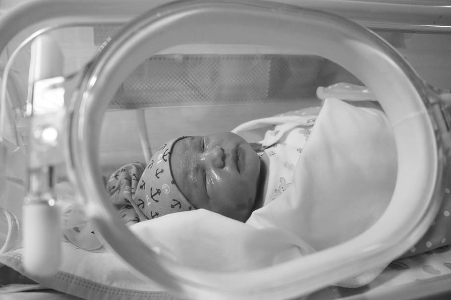 bayi di dalam nicu, bayi, kecil, imut, baru lahir, mungil, inkubator, kelahiran, ibu, kehidupan