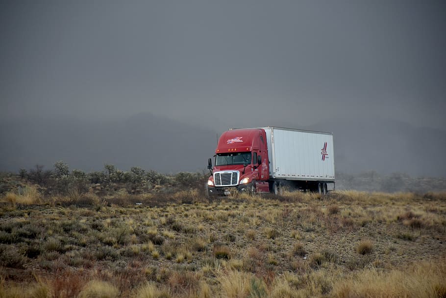 red, white, trailer truck, running, road, daytime, transportation, driving, way, trucking
