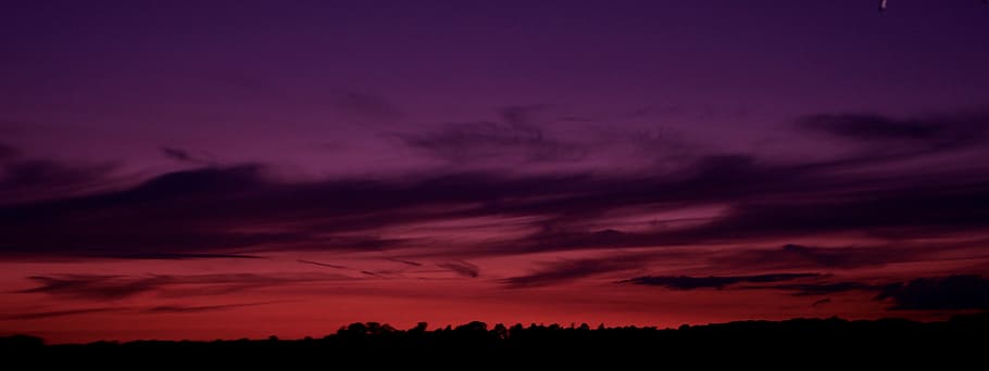 silhouette, trees, orange, sky, sunset, clouds, nature, dark, purple, night
