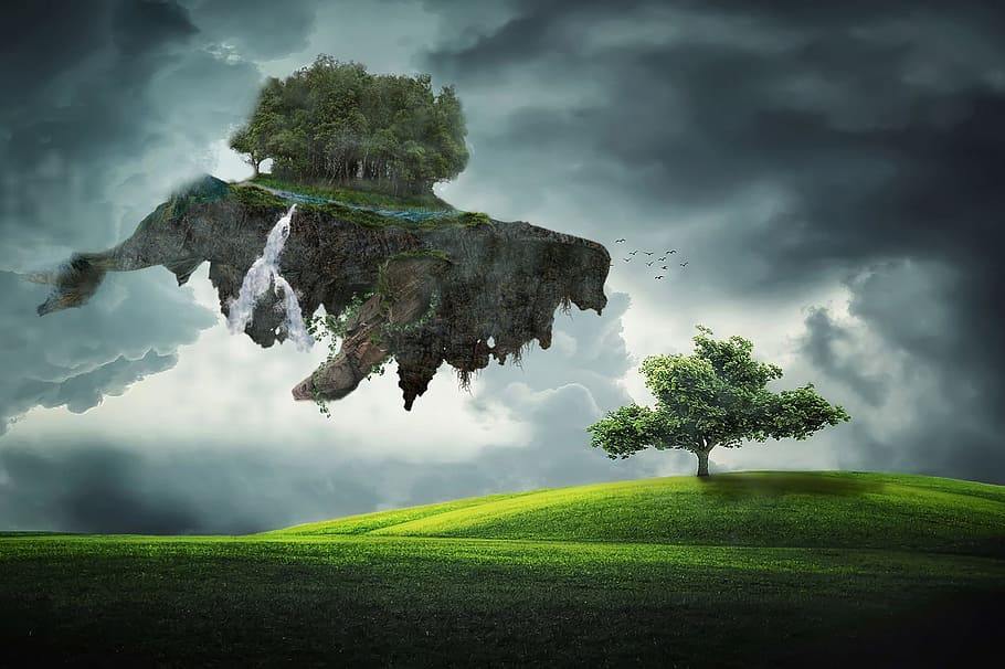 trees, green, cloudy, sky, whale, grass, cloud, wood, rock, mysterious