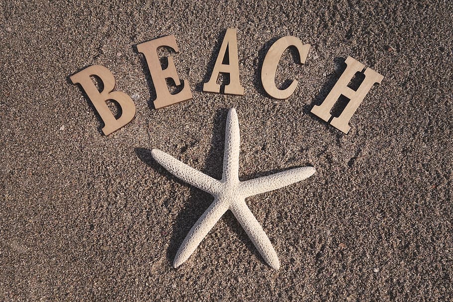 brown, beach signage, starfish decoration, brown Beach, signage, starfish, decoration, sand, beach, text