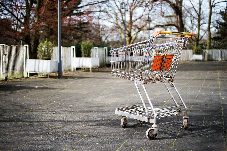 cart, grocery, outdoor, trees, shopping cart, shopping, consumerism, day, absence, empty