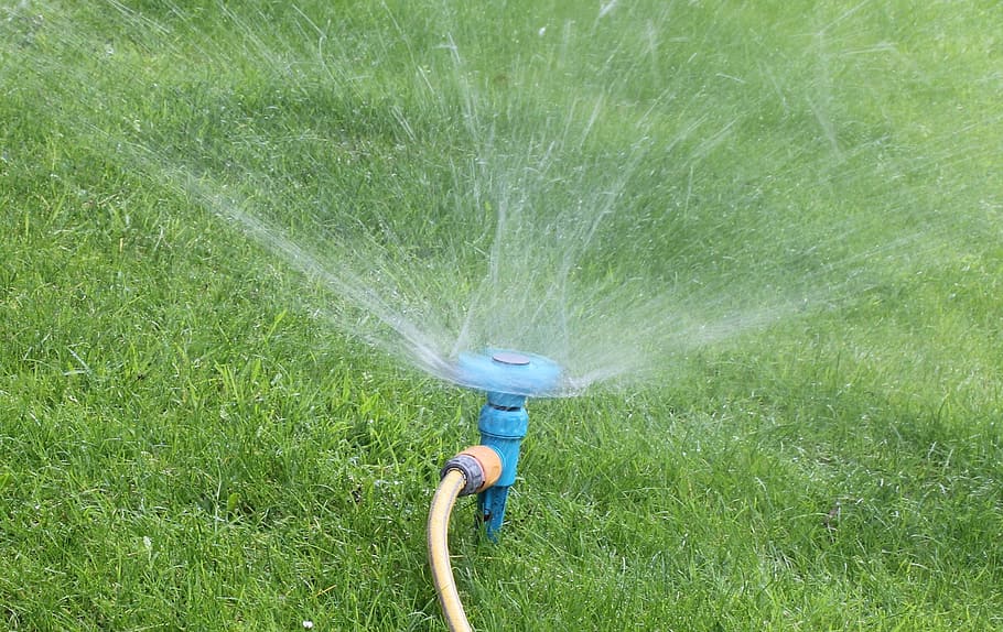 taman, sprinkler, selang, air, rumput, semprot, halaman rumput, basah, penyiraman, halaman belakang