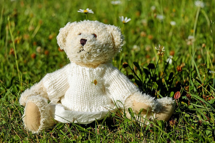 白, クマ, ぬいぐるみ, おもちゃ, テディ, かわいい, テディベア, 草原, 草, 緑