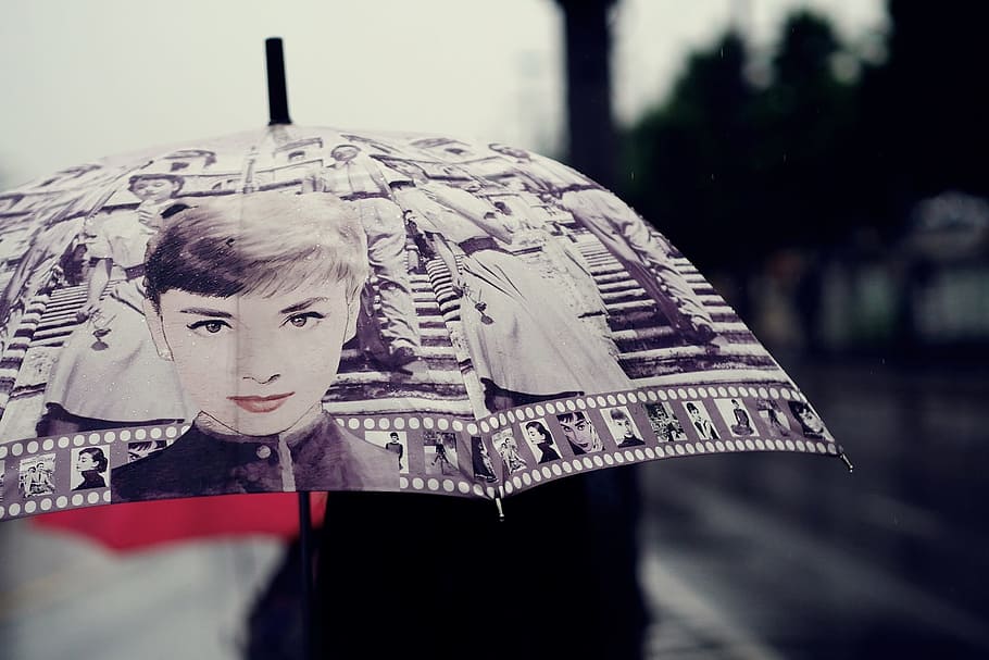 Persona con paraguas, lluvia, paraguas, gota de lluvia, impresión, belleza, una persona, retrato, protección, mujeres