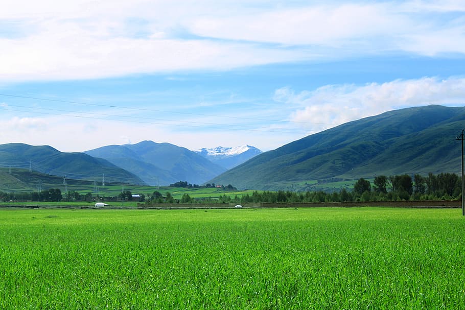 vistas, verano, cielo azul, alpino, sichuan-tibet, tibet, campo abierto, naturaleza, turismo, montaña