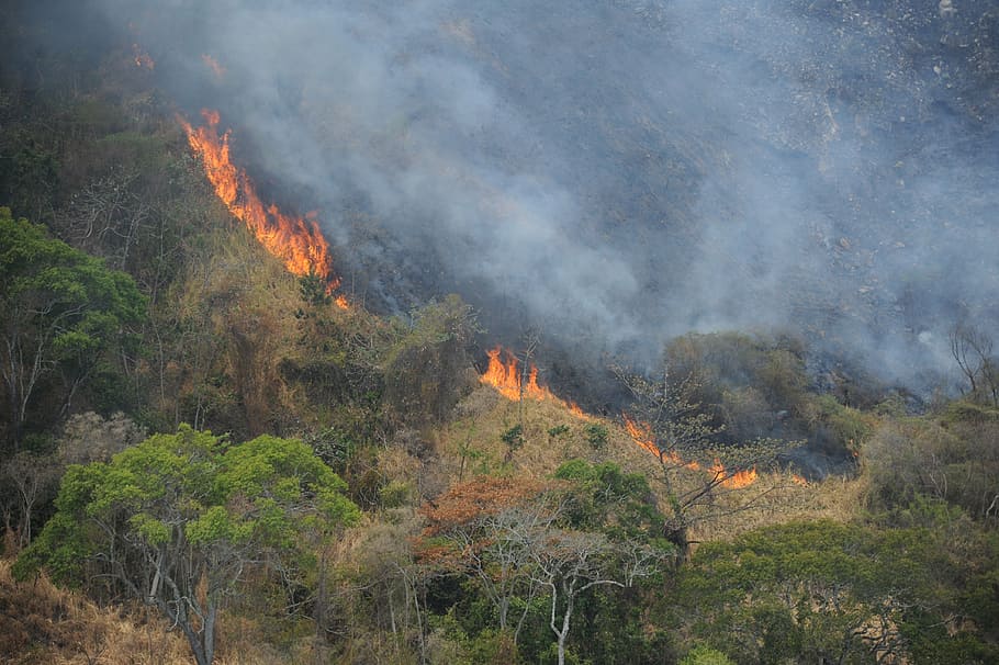 gunung, api, bencana, pembakaran, api - fenomena alam, asap - struktur fisik, panas - suhu, kebakaran hutan, tanah, lingkungan