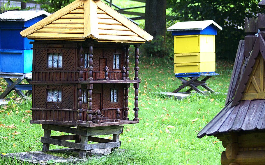 ul, ule, pasieka, cabaña, abejas, enjambre de abejas, apicultura, efectos distributivos, miel, insectos