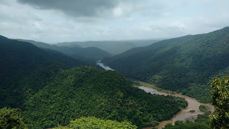 Dandeli, Kali, río, Karnataka, India, vegetación, bosque, occidental, ghats, naturaleza