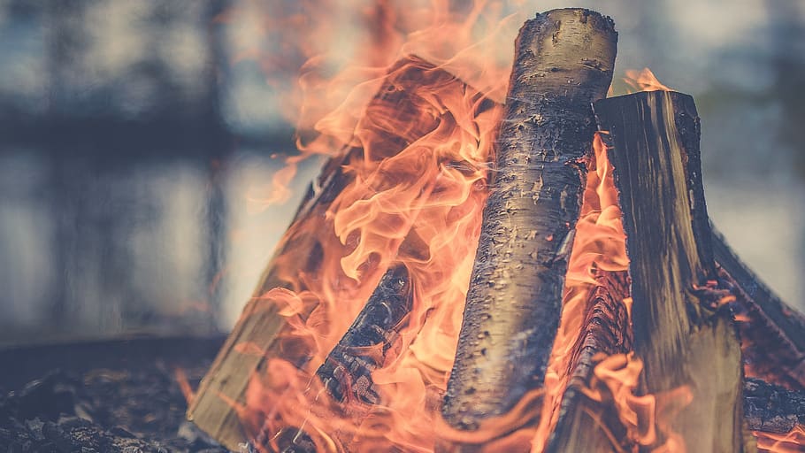 fogo, chama, queimar, lenha, luz, calor, queima, calor - temperatura, tronco, fogo - fenômeno natural