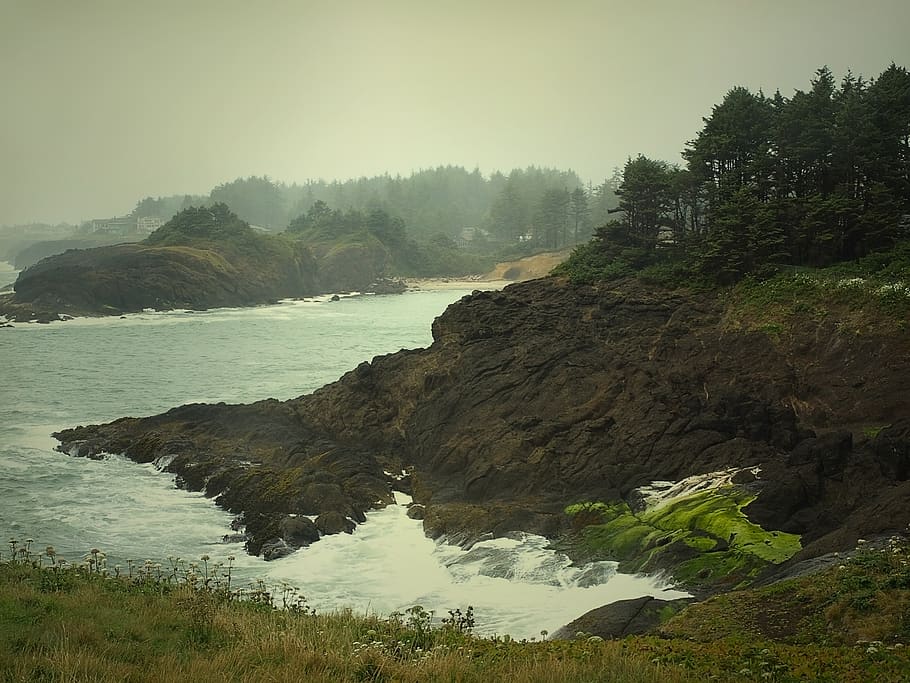 landscape, nature, west coast, route101, oregon, ocean, tranquility, beauty in nature, tranquil scene, water