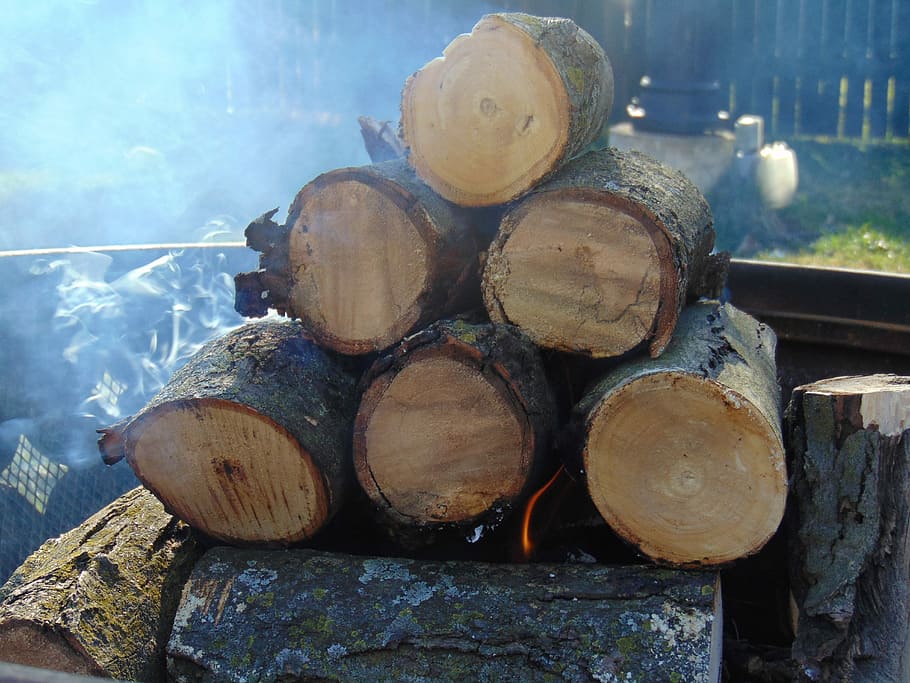 Campfire, Smoke, Fire, Logs, Wood, stacked, hot, heat, burn, warm