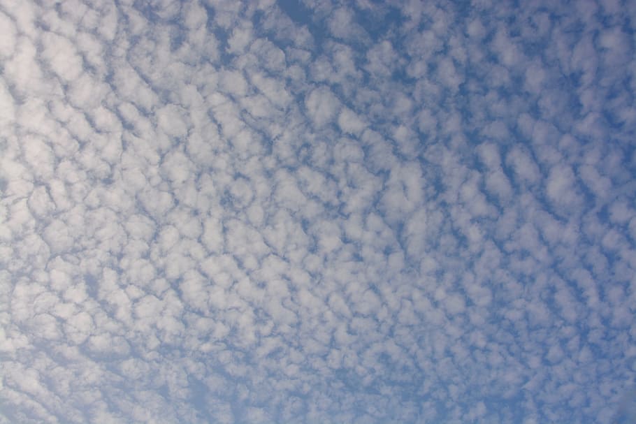 白い雲, 雲, 空, 曇り空, 羊, 巻雲, クラウド-空, 人なし, cloudscape, 自然