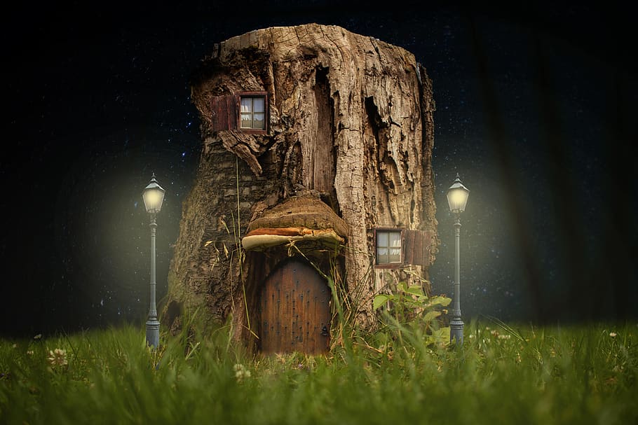 tree stump, fairies, fantasy, lantern, meadow, dream, window, door, light, built structure