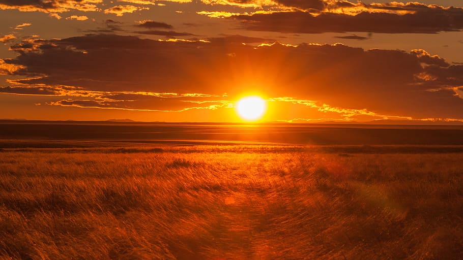 landscape photo, sunset, grassfield, landscape, mongolia, lighting, back light, sunbeam, nature, orange color