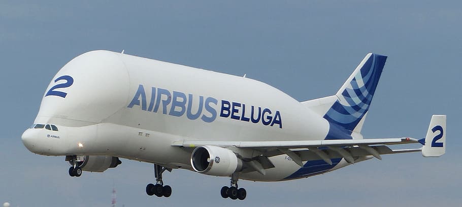 白, 青, エアバスベルーガ旅客機, ベルーガ, エアバス, 航空機, 貨物, 貨物飛行機, フライト, ツールーズ
