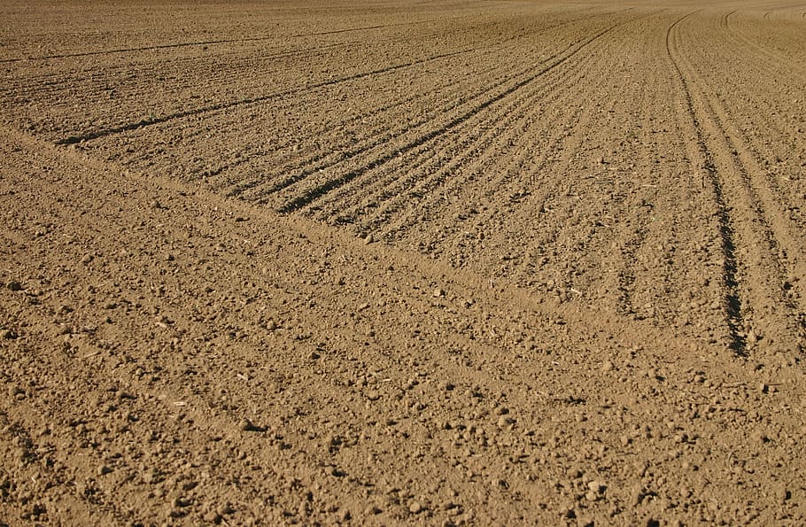 brown dirt, arable, ackerfurchen, furrow, agriculture, earth, cultivation, series, nature, soil