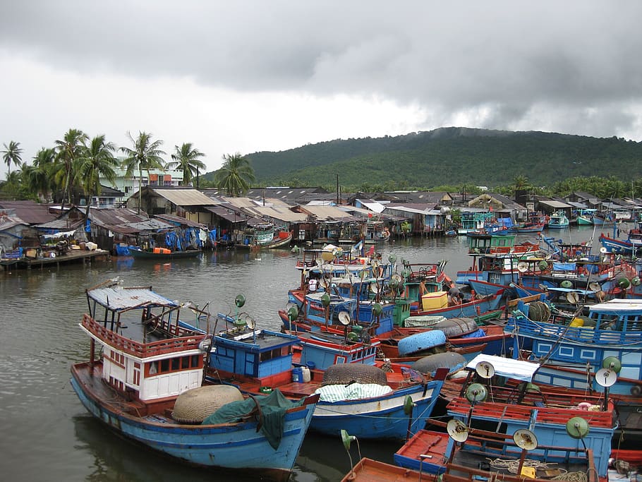 perahu, desa nelayan, sungai, perahu nelayan, phu quoc, vietnam, air, kapal laut, angkutan, awan - langit