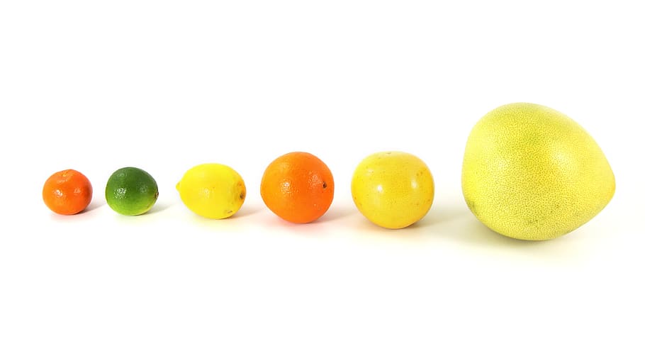 seis, frutas de varios colores, blanco, superficie, fruta, comida, cítricos, pomelo, naranja, limón