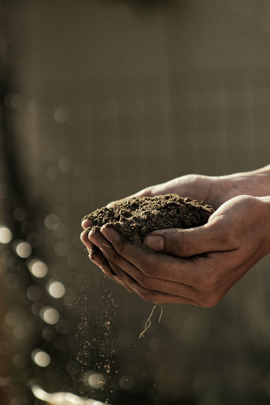 person, holding, brown, soil, selective, focus photography, dirty, hand, palm, sand