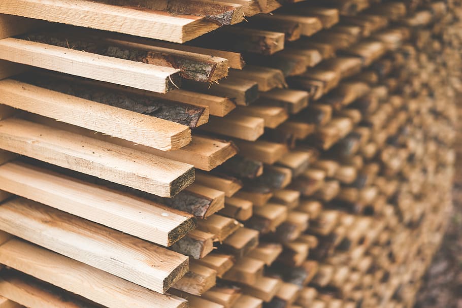freshly, lumber air, Cut, Wood, Stacked, Lumber, Air, Drying, felling, forest