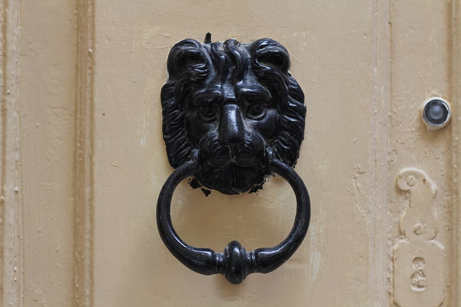 puerta, aldaba, león, cabeza, entrada, metal, seguridad, representación, primer plano, representación animal