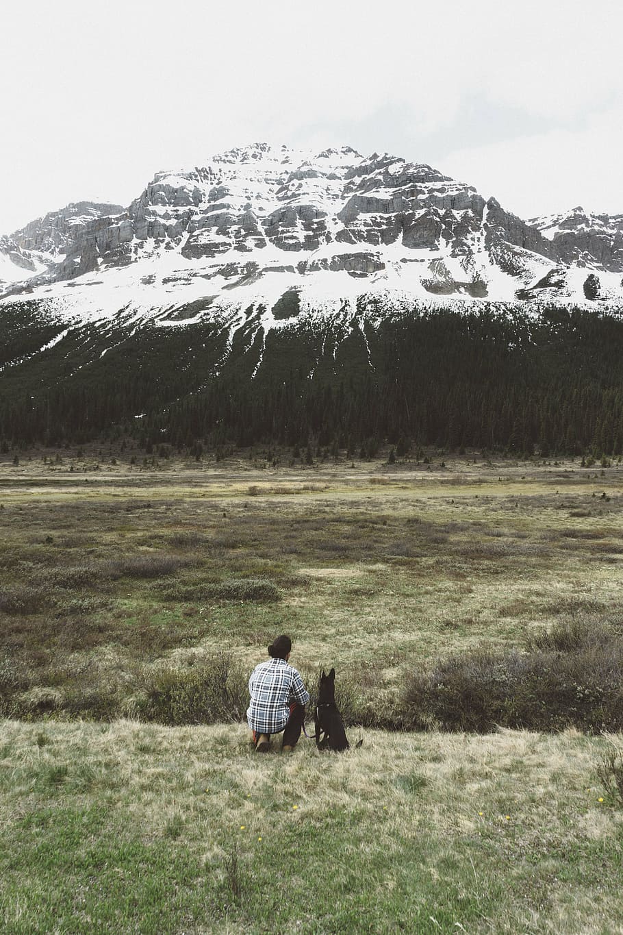man, sitting, dog, glacier mountain, daytime, people, alone, green, grass, field