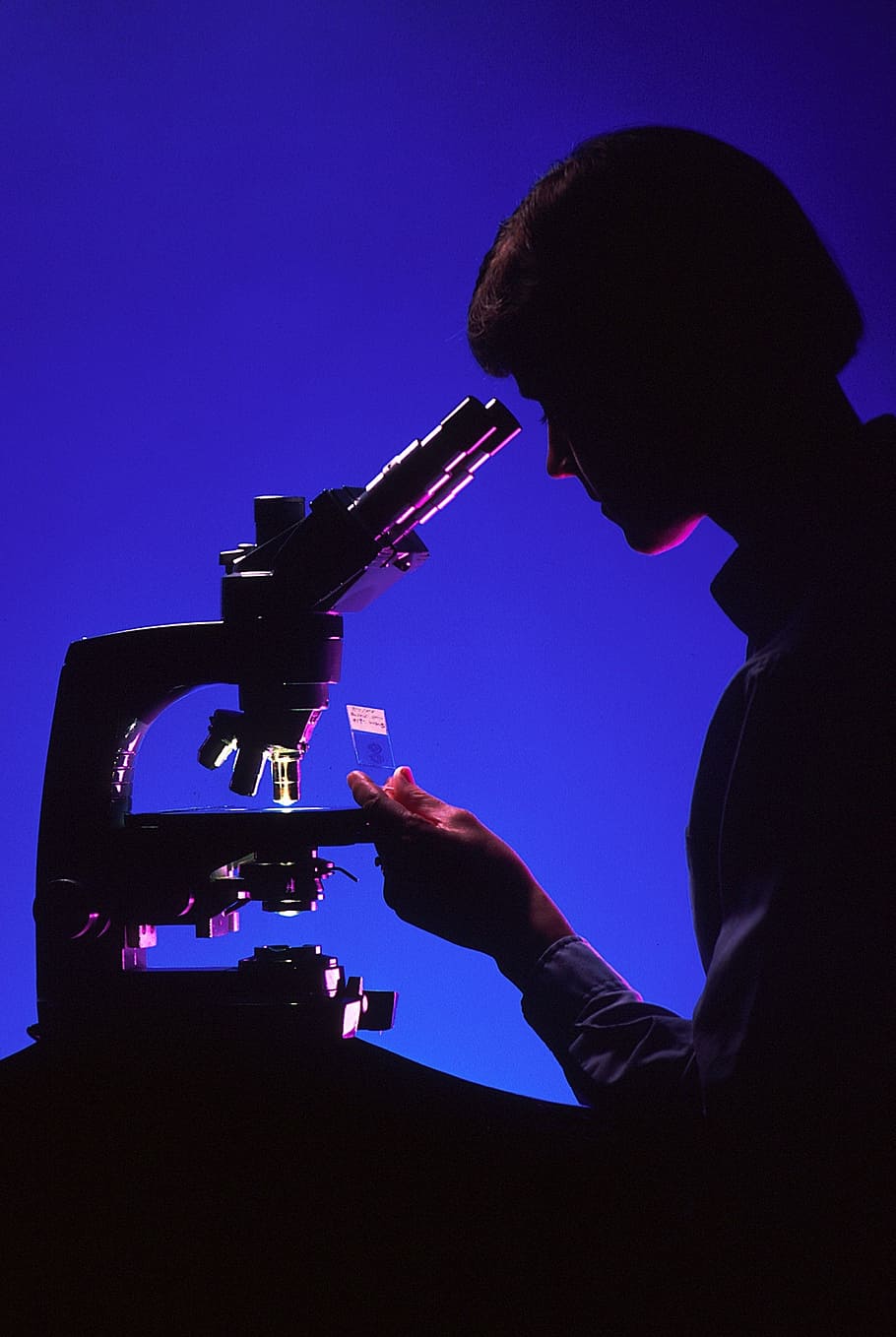 person using microscope, scientist with microscope, silhouettes, laboratory, science, biology, lab, medical, slide, examination