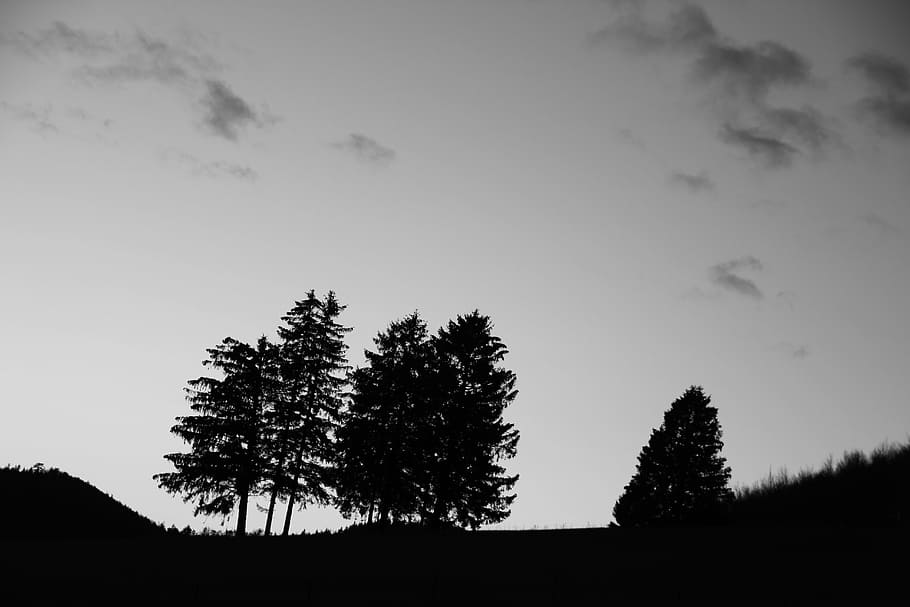 landscape, tree, black and white, nature, sky, clouds, abendstimmung, forest, plant, silhouette