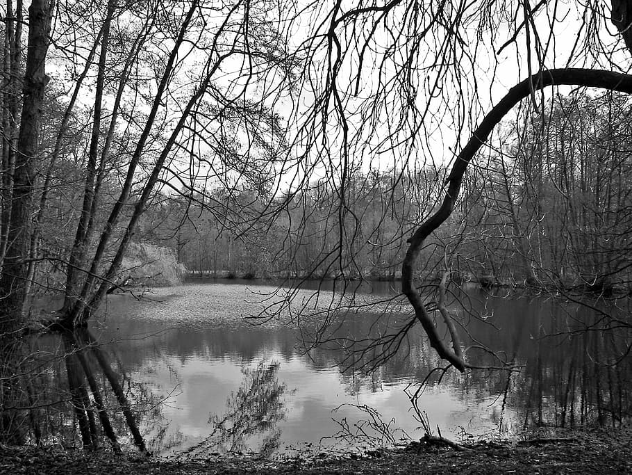 grayscale photo, lake, forest, gloomy, gothic, trueb, melancholic, depression, ghostly, bad weather photography