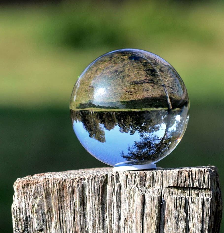ball, ball photo, nature, reflection, wood - material, sphere, crystal ball, water, close-up, glass - material