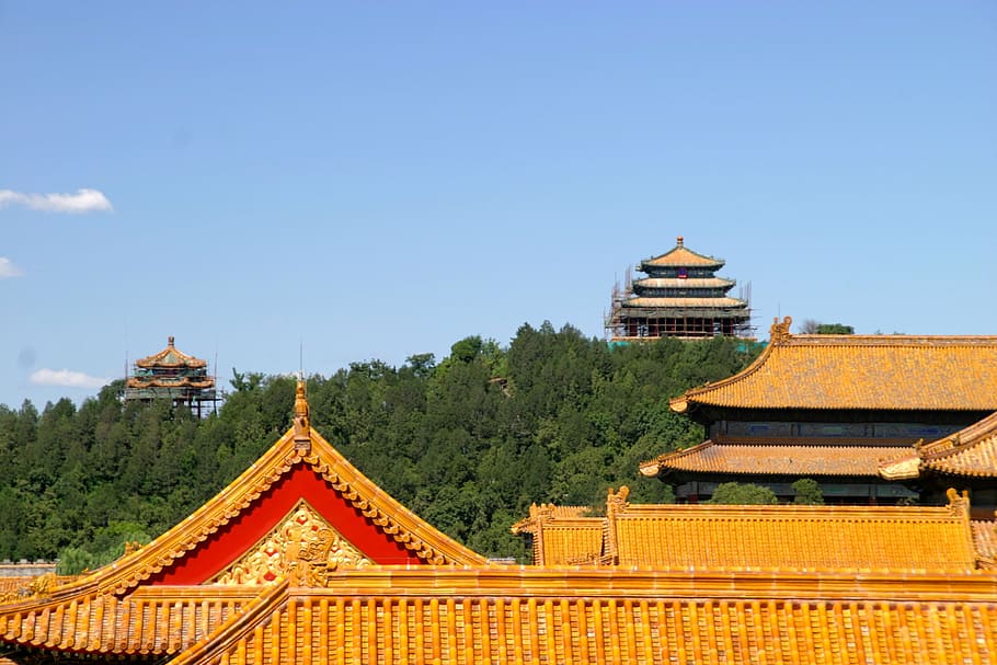 aerial, houses, roof, china, dragon, forbidden city, architecture, beijing, palace, ornament