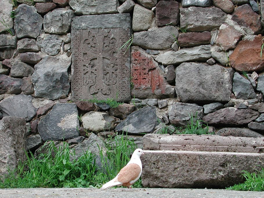 Peace Dove, Armenia, Stone Cross, katschberg kar, dove, wall, caucasus, built structure, day, outdoors