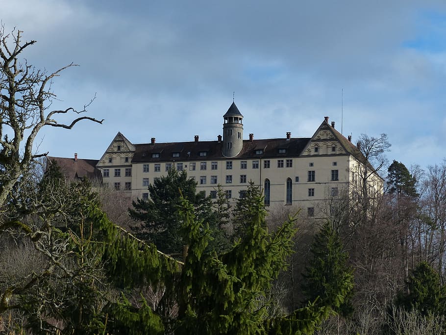 castillo de heiligenberg, castillo, estilo renacentista, renacimiento, montaña sagrada, linzgau, alemania, edificio, arquitectura, árbol