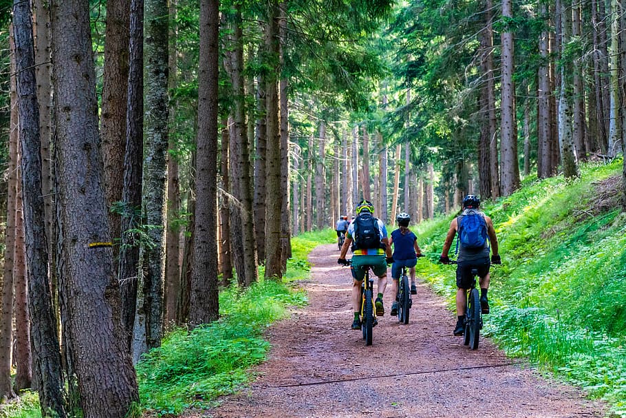 hutan, jalan hutan, sepeda gunung, e-bike, e-mtb, pedelec, alam, pemandangan, bersepeda, bersepeda gunung