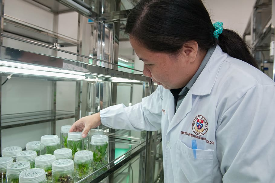 plant tissue culture facility, biotechnology research institute, universiti malaysia sabah, one man only, indoors, lab coat, only men, one person, adults only, adult