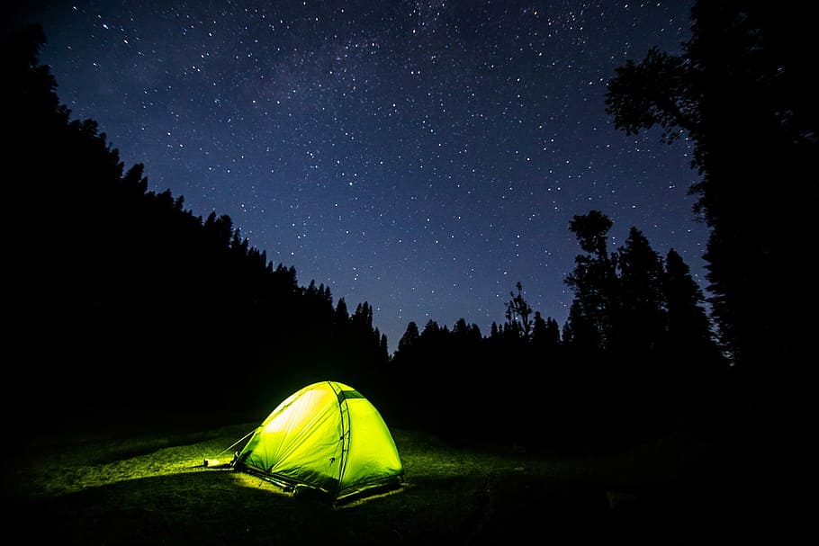 tenda, dikelilingi, pohon, hijau, berkemah, malam hari, gelap, malam, biru, langit