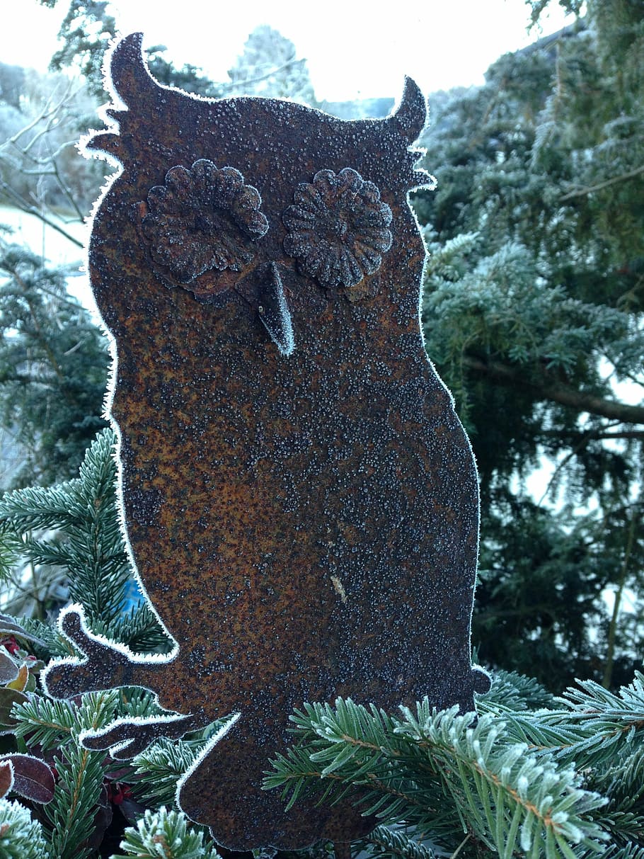 owl, stainless, frozen, eiskristalle, winter, cold, iced, christmas, tree, snow