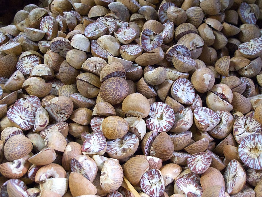 brown snail lot, nutmeg, myristica, spice, fruit, full frame, food and drink, food, large group of objects, freshness