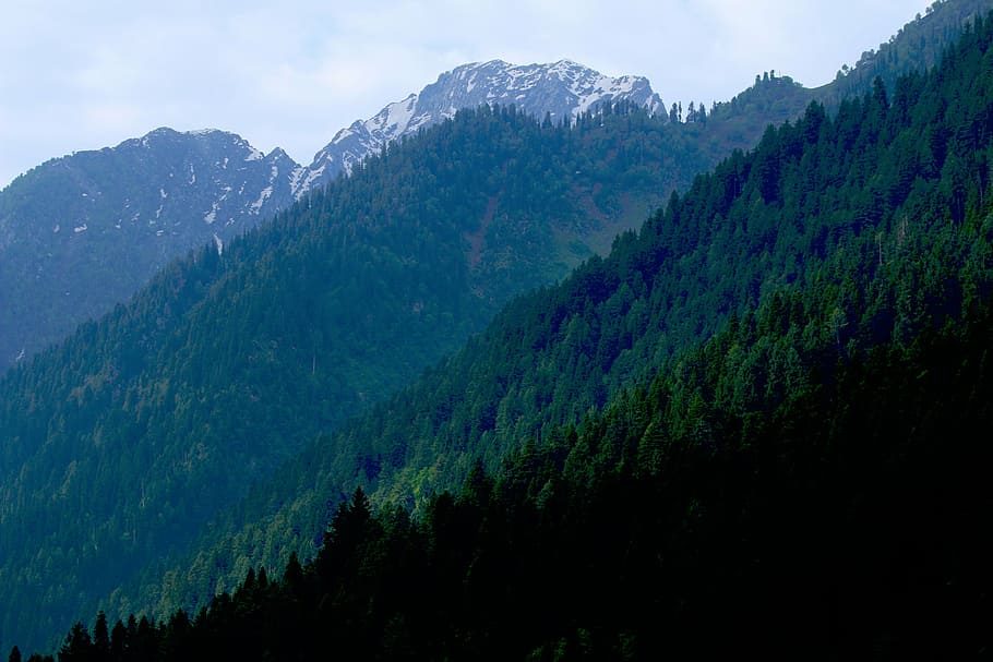 green mountain, nature, mountains, trees, snow, alps, mountain, forest, landscape, tree