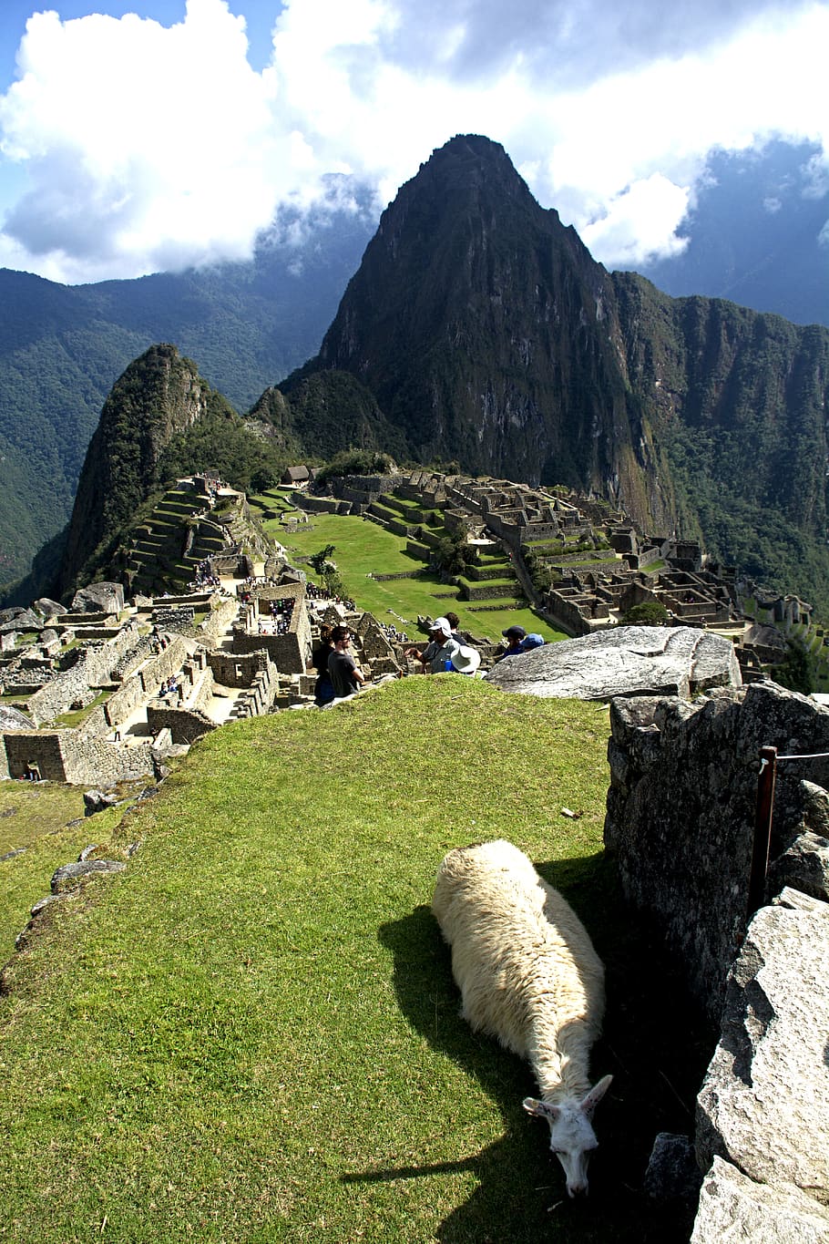 machu picchu, cusco, inca, picchu, machu, Peru, pariwisata, reruntuhan, peradaban, gunung