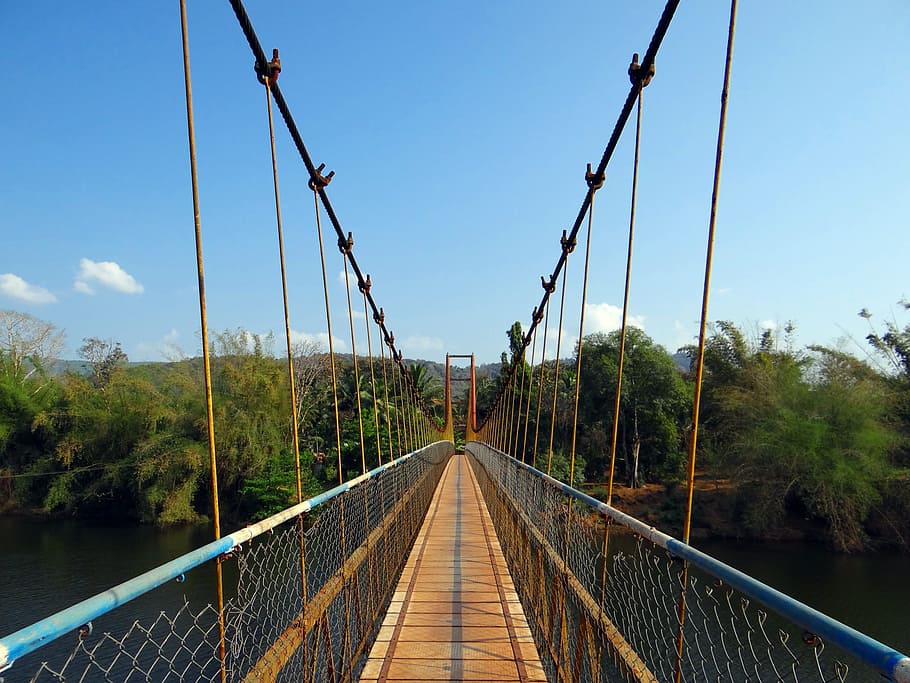 hanging bridge, gangavali river, rope bridge, ramanguli, karnataka, india, connection, bridge, bridge - man made structure, tree