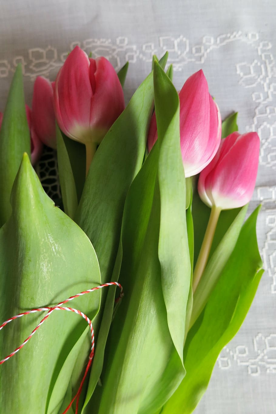 bouquet tulips, pictures of flowers, mother, march 8, flowering plant, freshness, flower, plant, beauty in nature, close-up