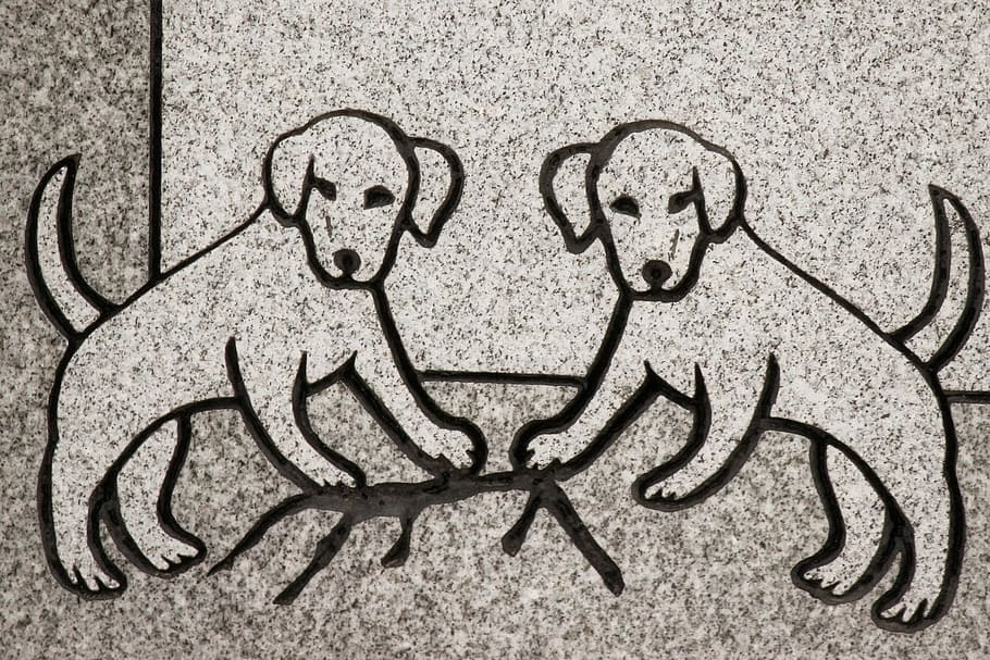 Granito lápida tumba decoración animal lápida perro g39 ► 50 x 30 cm ◄ foto grabado