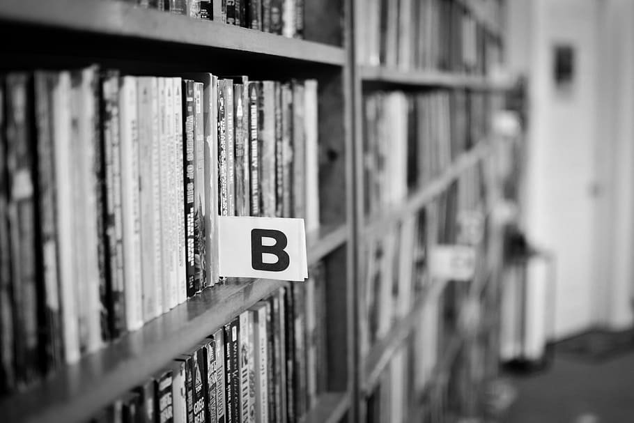 grascale photo, book shelves, library, books, reading, school, learning, education, shelf, selective focus