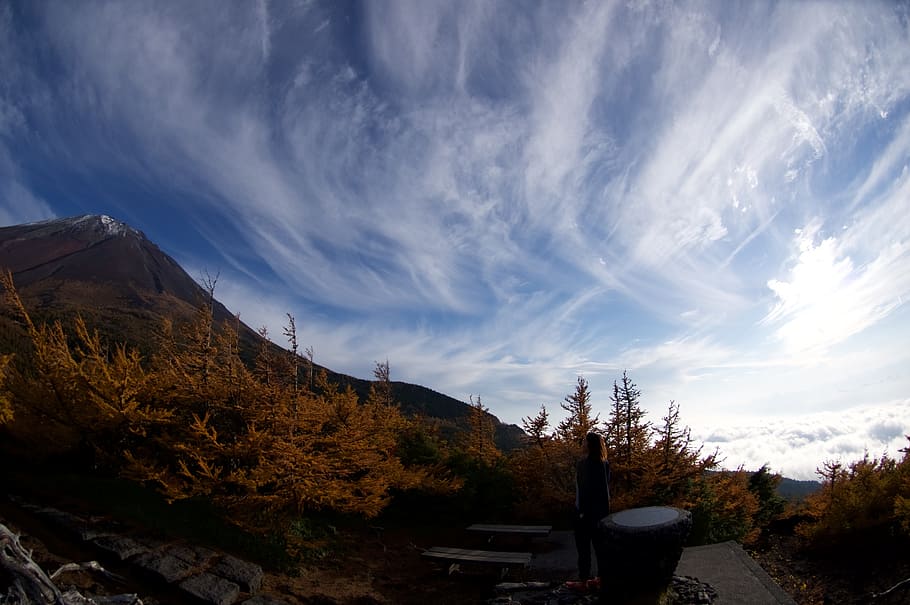 fuji, mt fuji, blue sky, autumnal leaves, japan, sky, cloud - sky, nature, tree, plant
