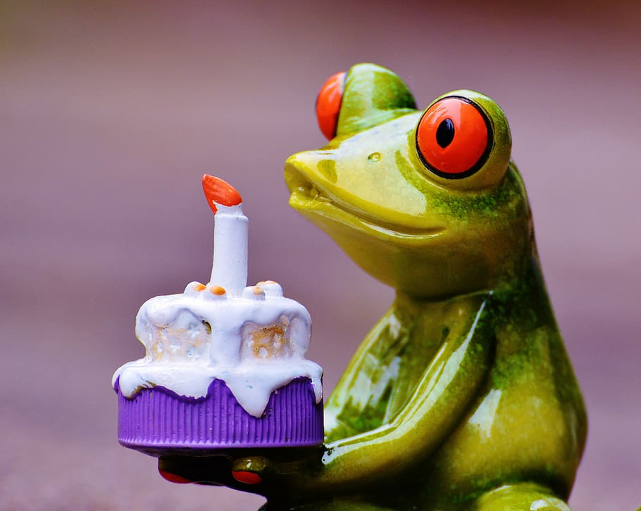 fotografi tembakan makro, hijau, keramik, patung katak, memegang, kue, selamat ulang tahun, ulang tahun, katak, salam